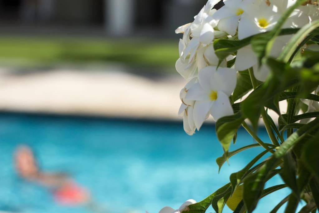 Goudhaen Luxury Private Apartments Jan Thiel Beach Ngoại thất bức ảnh