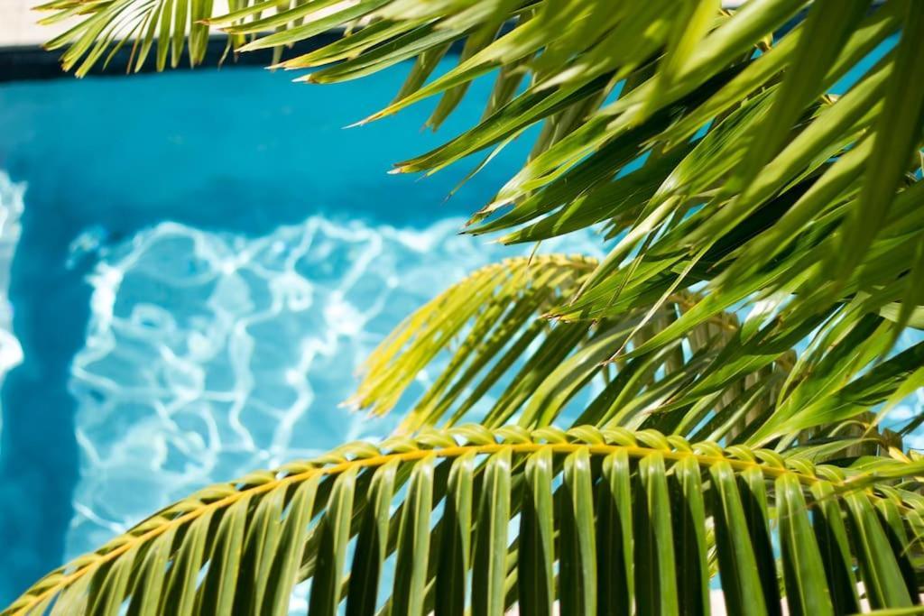 Goudhaen Luxury Private Apartments Jan Thiel Beach Ngoại thất bức ảnh